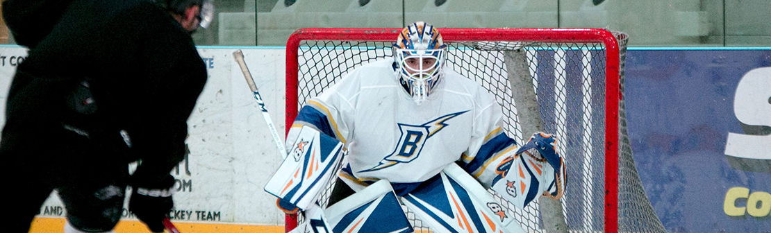 The Crazy Game by Clint Malarchuk